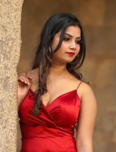 call girl service in Nevasa